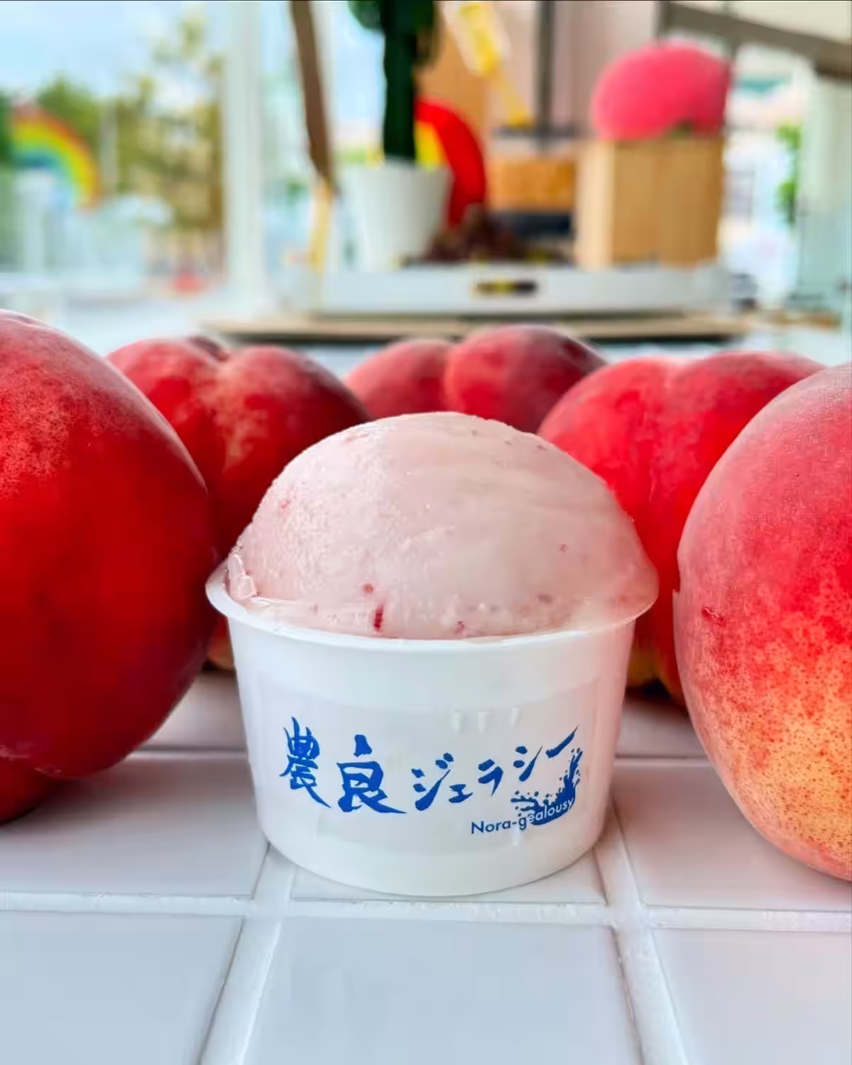 画像6