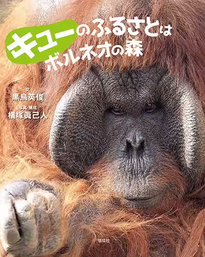 画像1