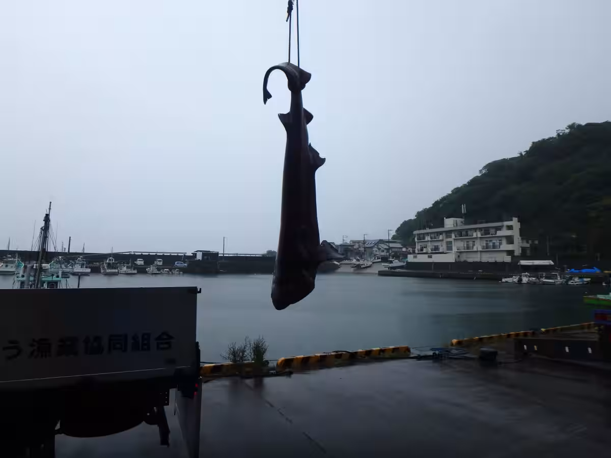画像4