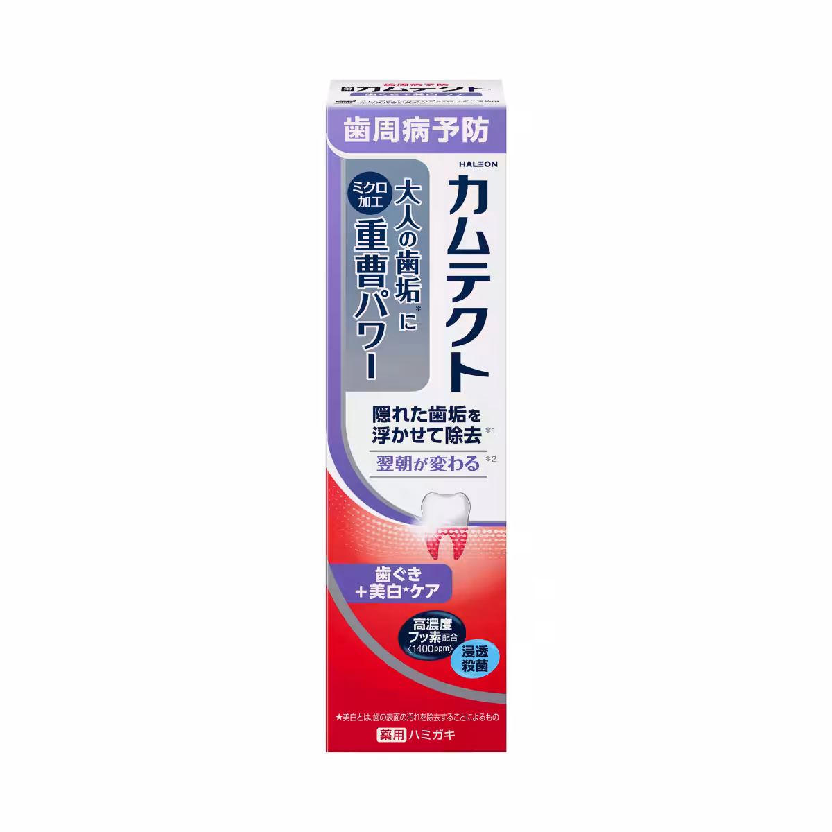 画像5