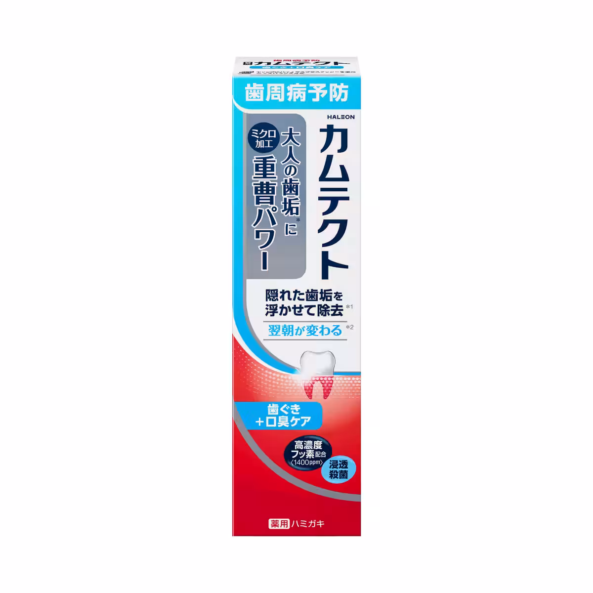 画像4