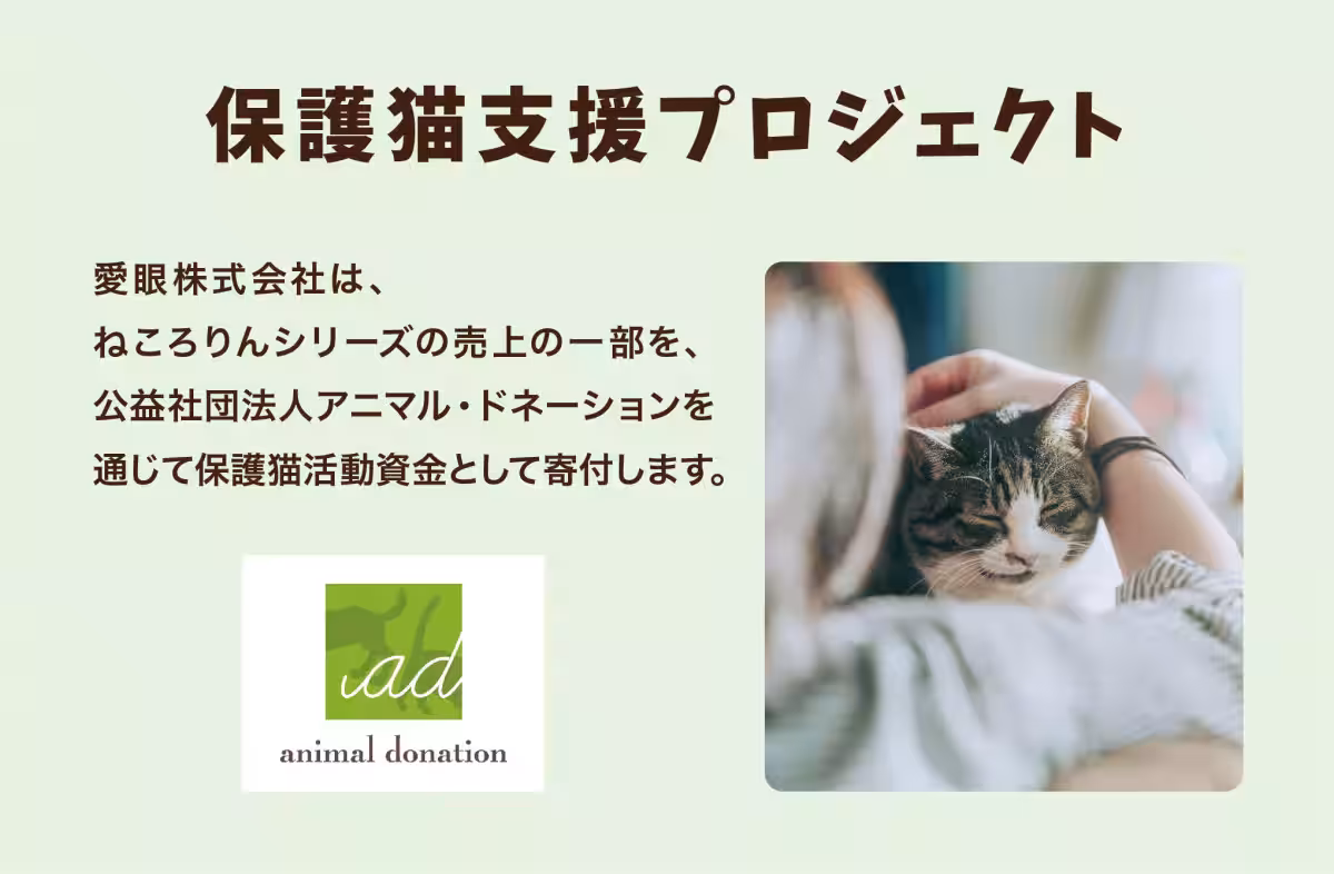 画像13