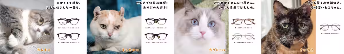 画像15