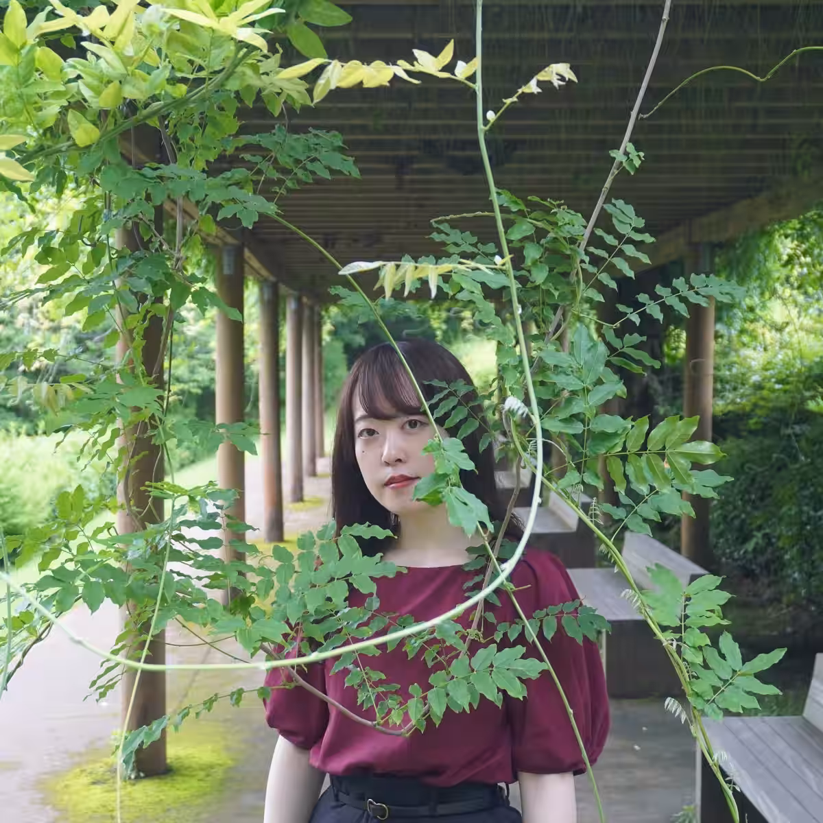 画像8