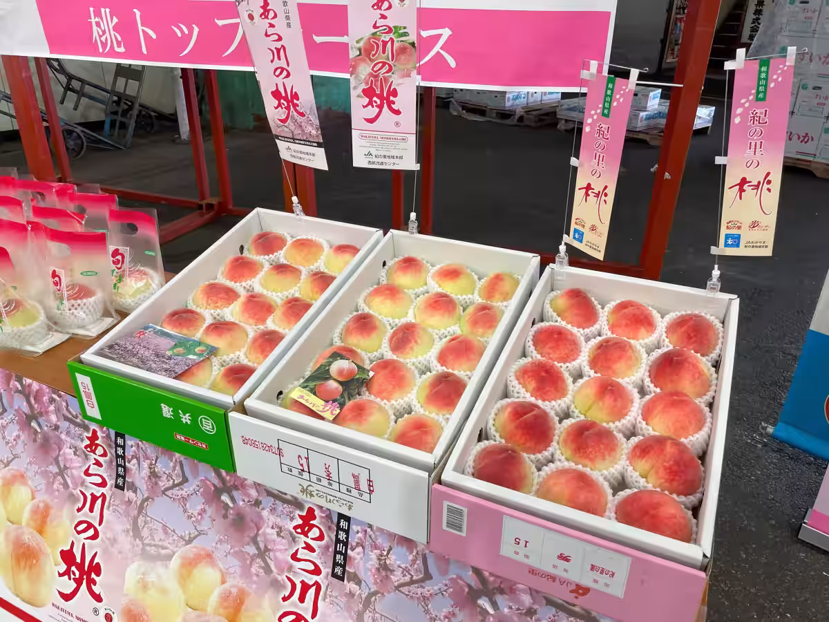 画像4