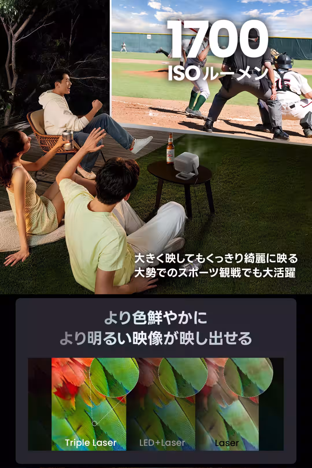 画像14