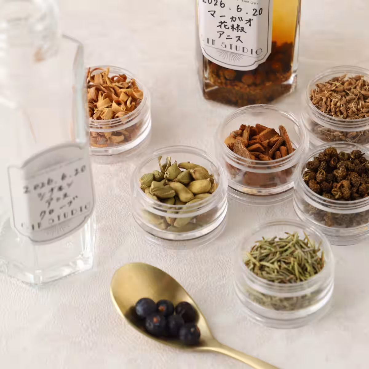 画像4
