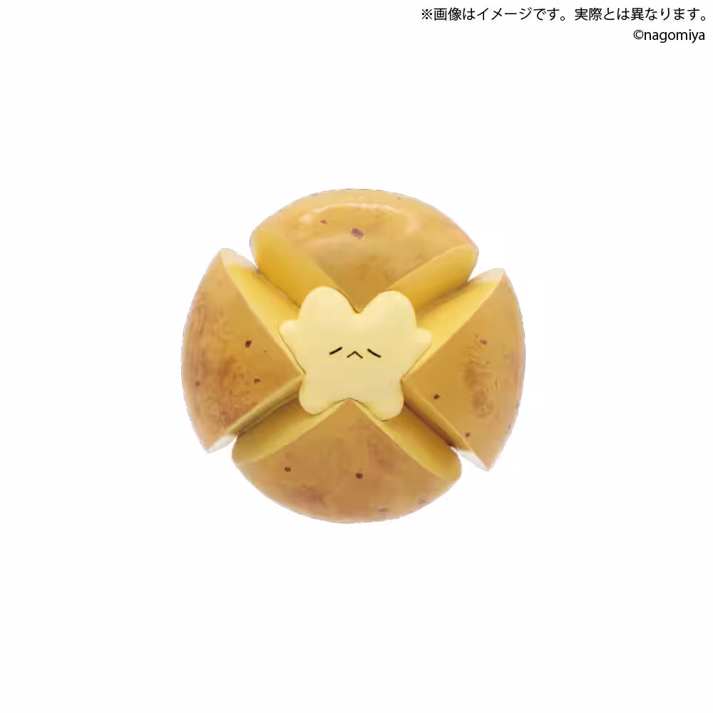 画像7
