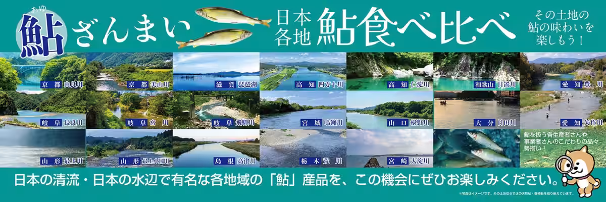 画像15
