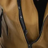 バンチャンとフェンディ