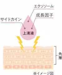 画像12