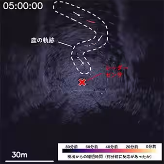 画像4