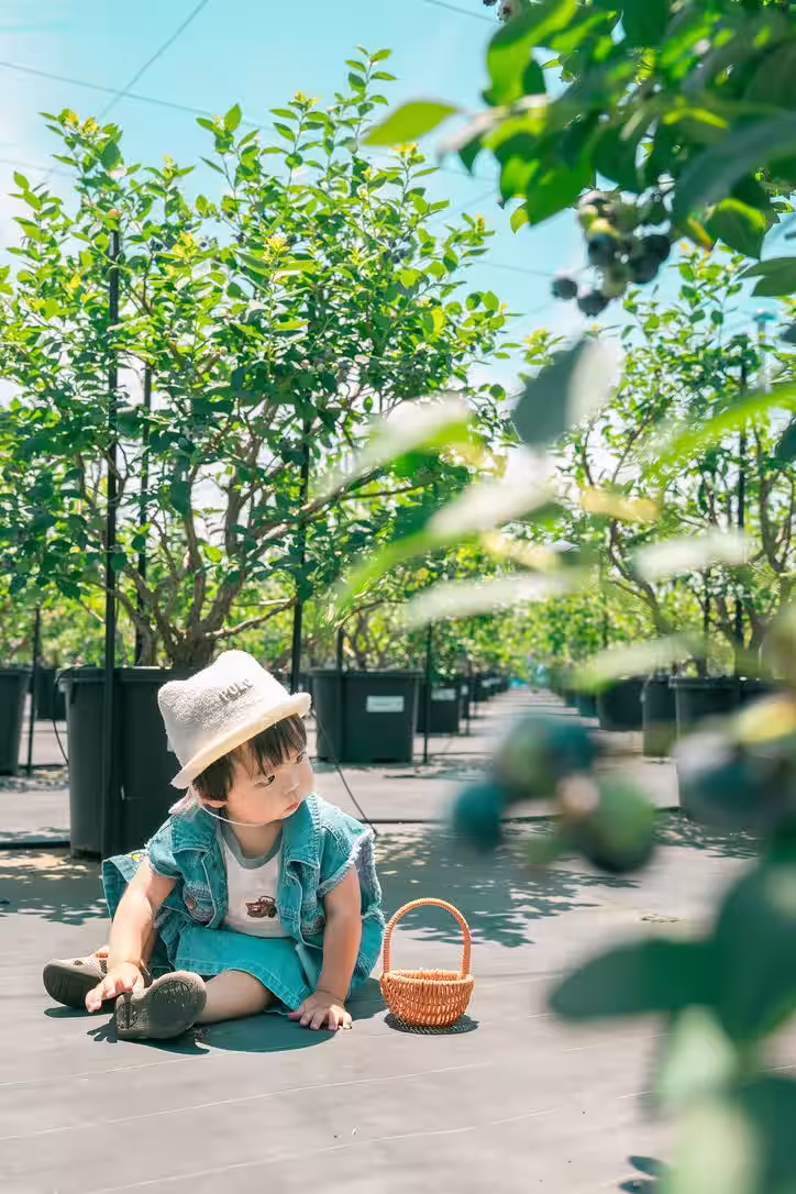 画像24
