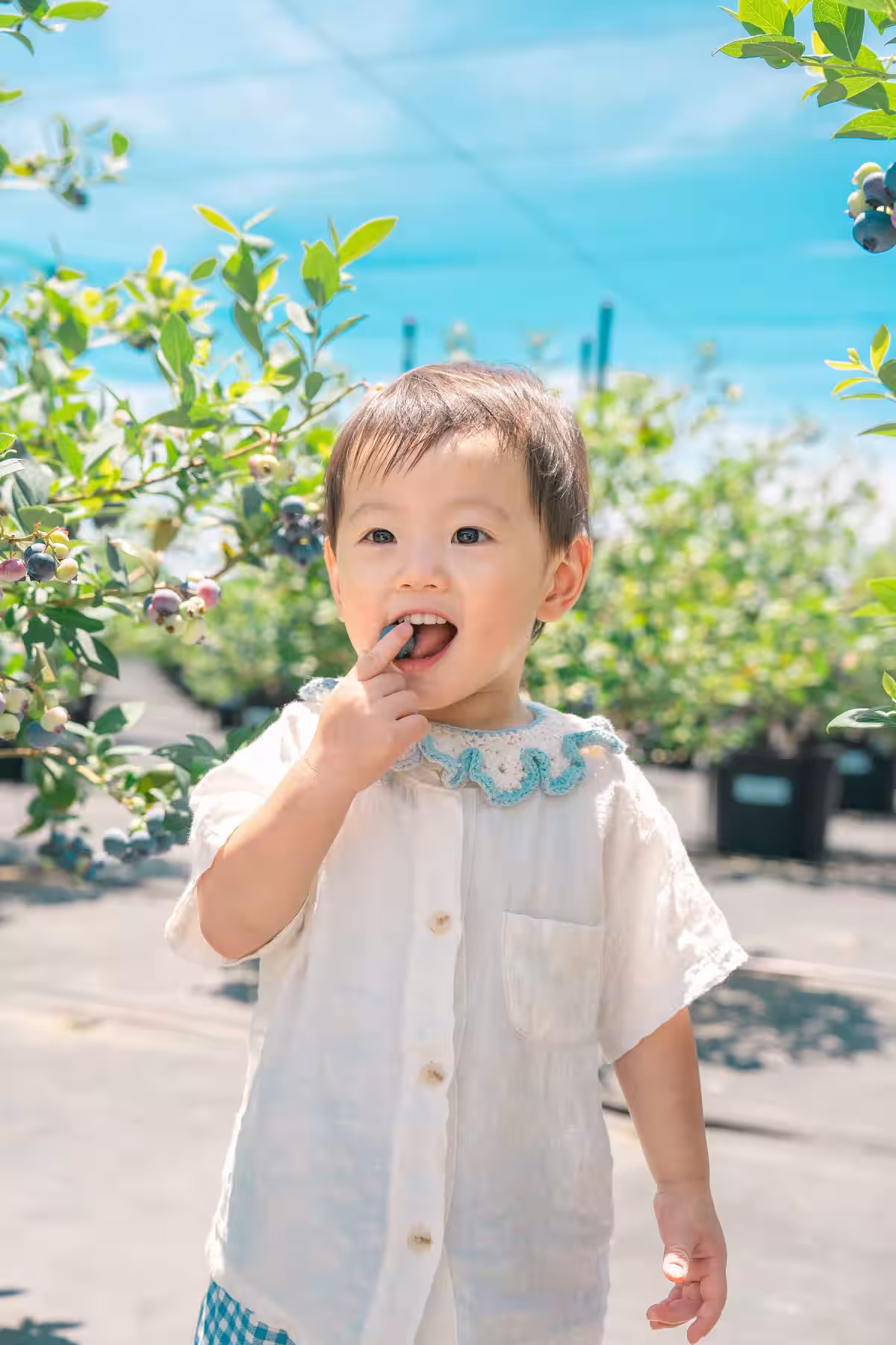 画像15