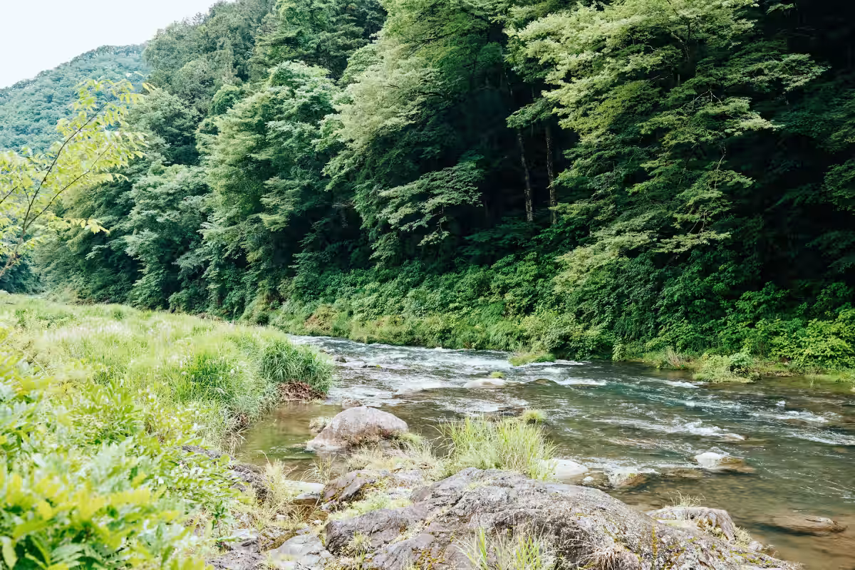 画像10