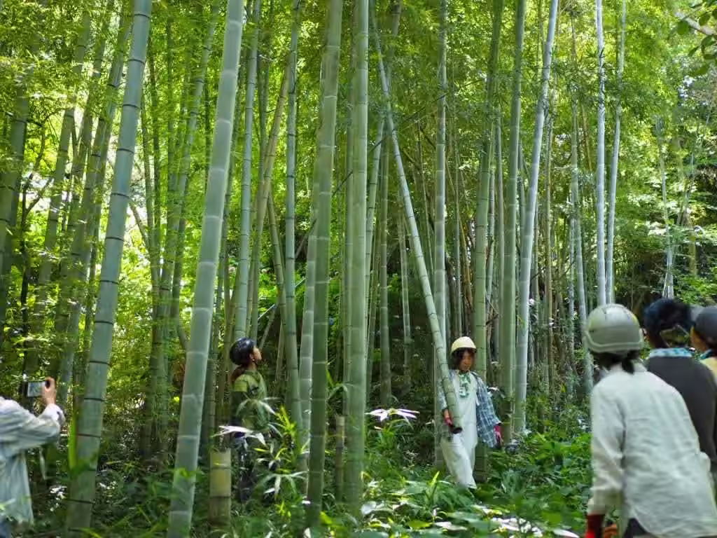 画像7