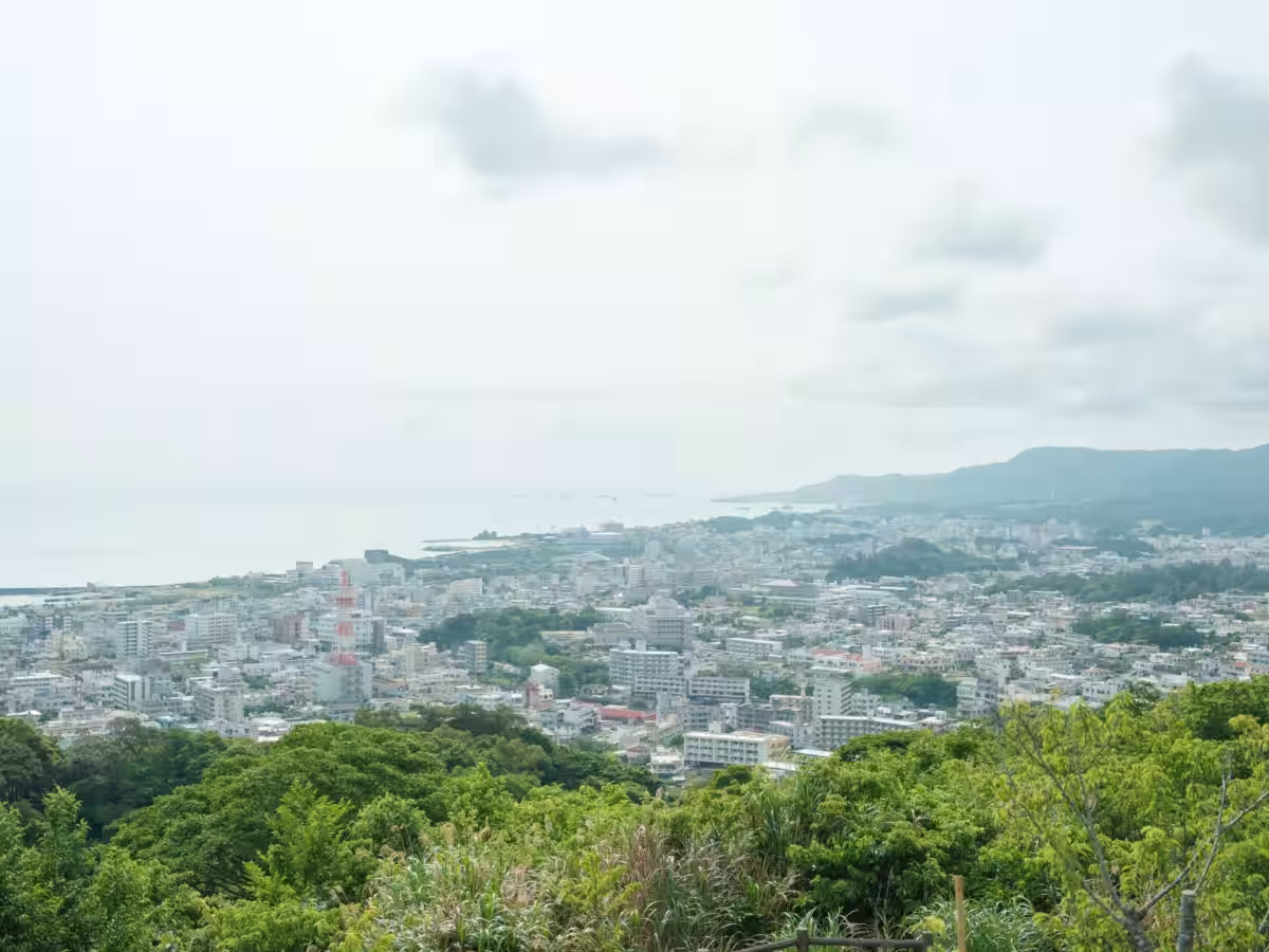 画像6