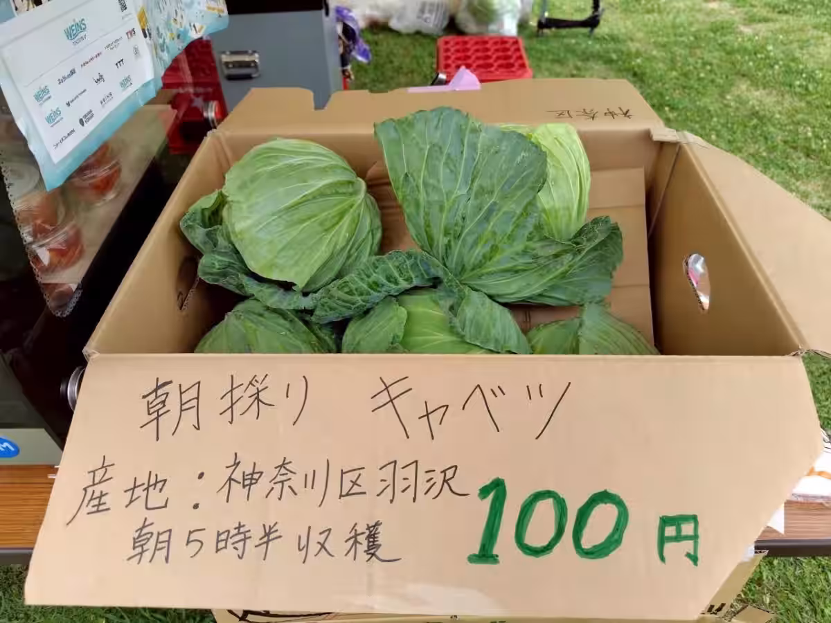 画像5