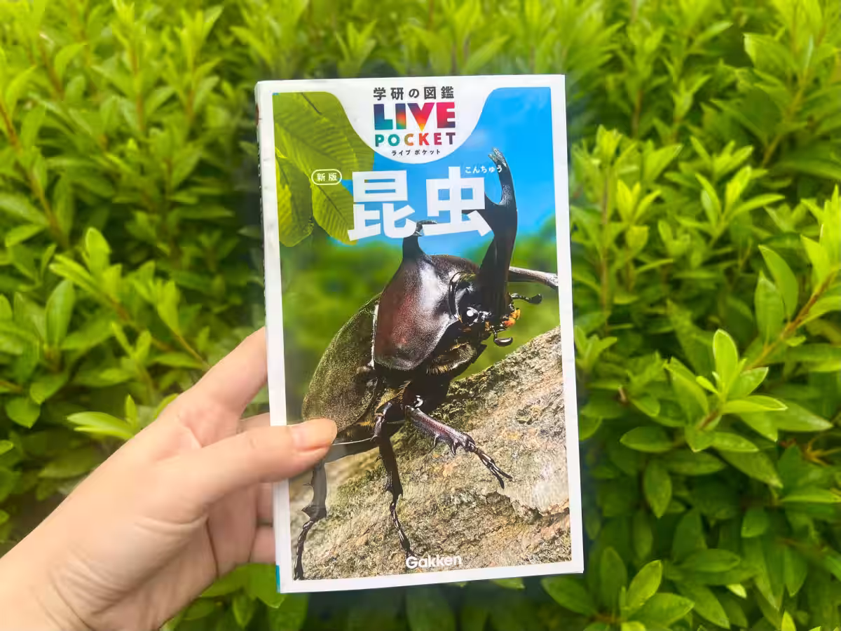 画像8