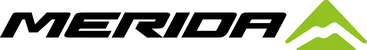 画像15