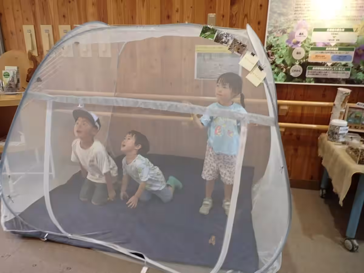 画像14