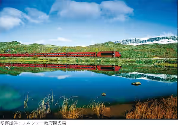 画像11