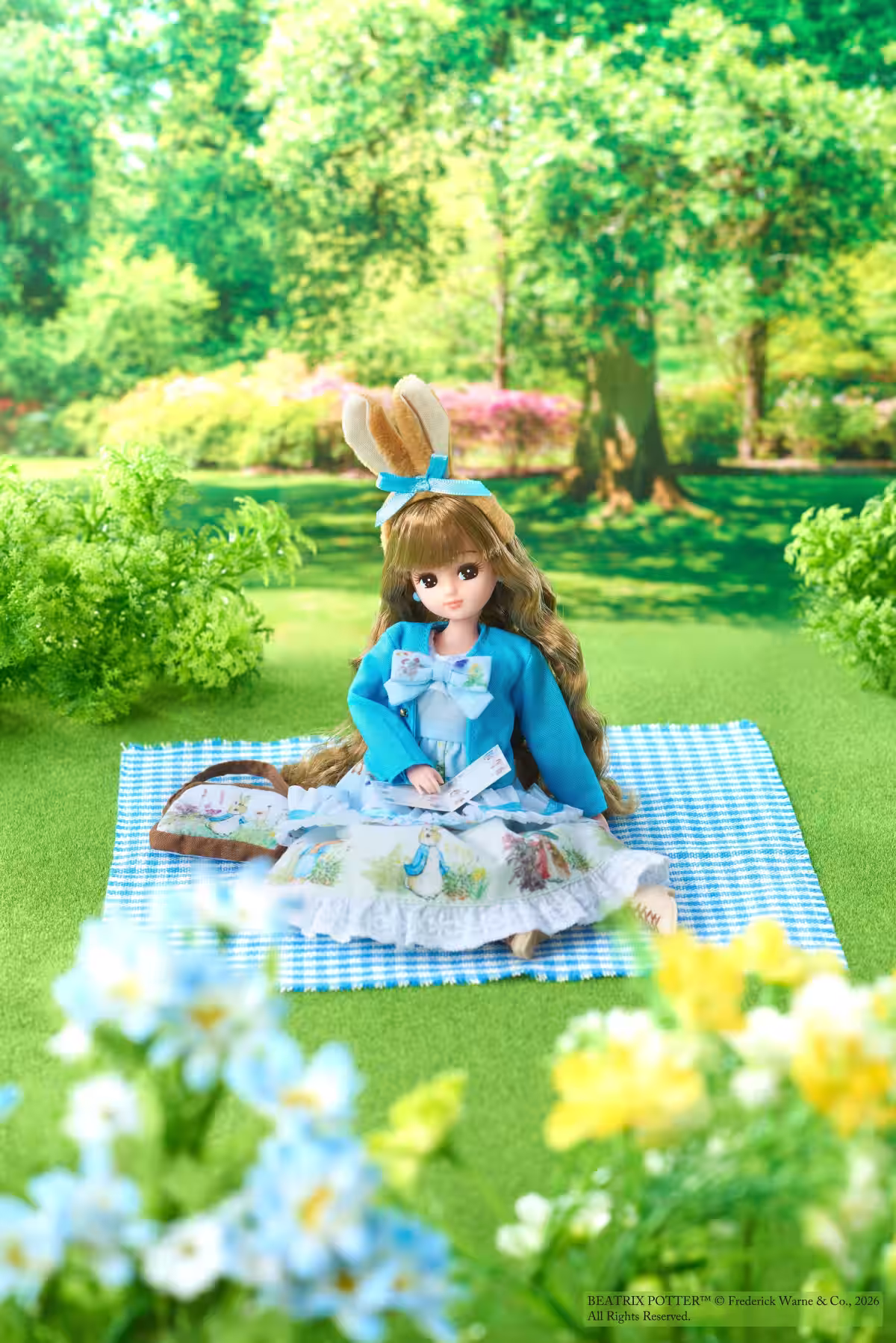画像4