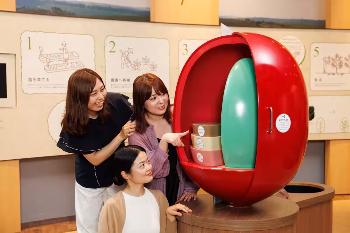 画像6