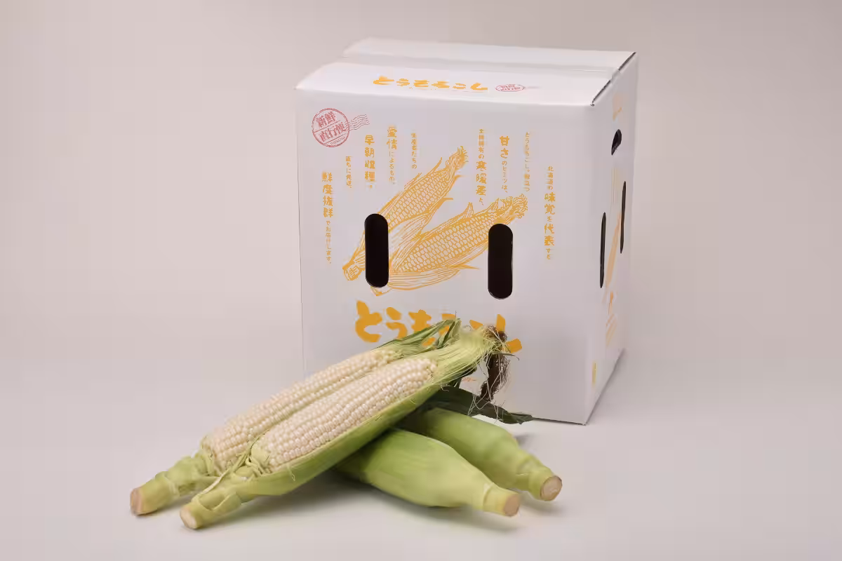 画像4
