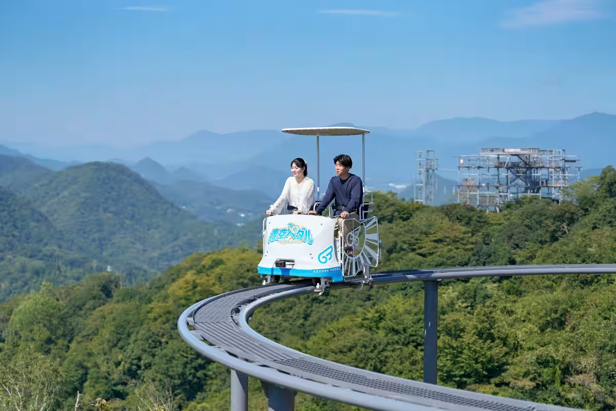 画像5