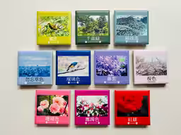 画像6