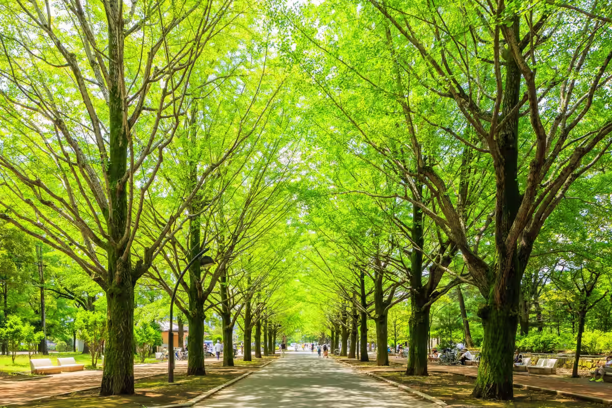 画像4