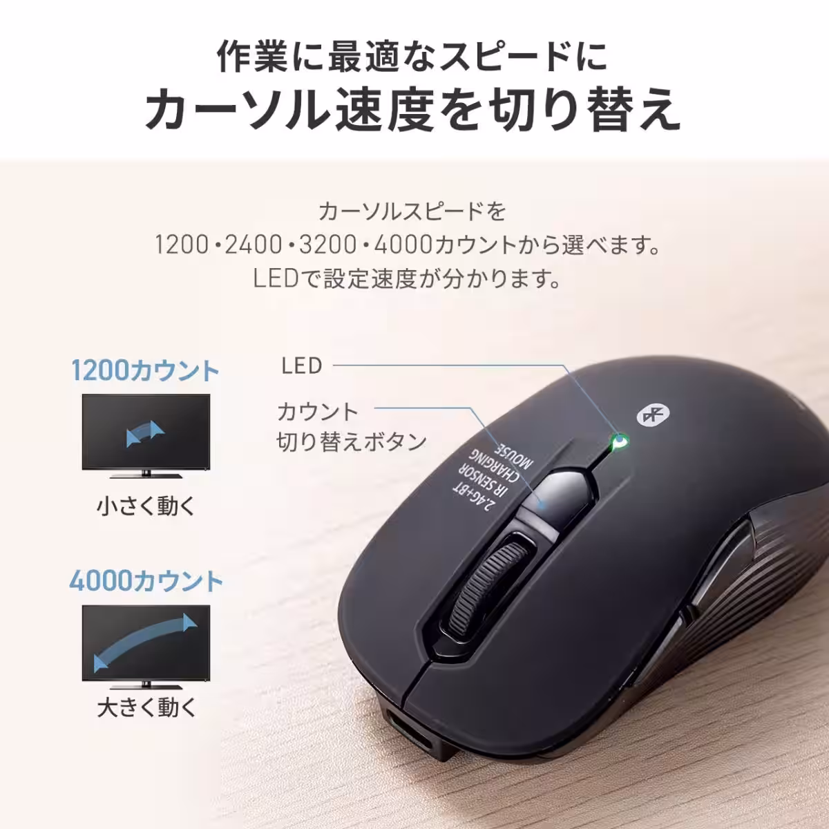 画像12