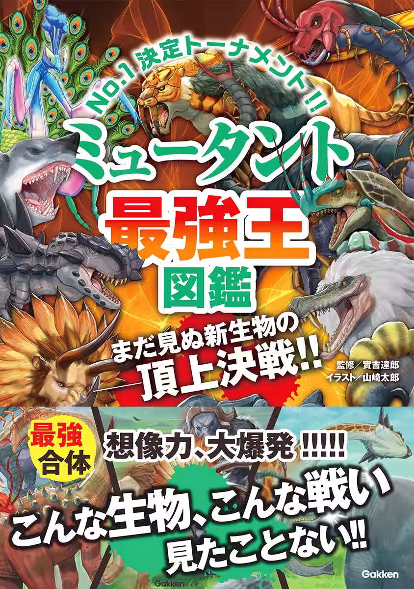 画像8