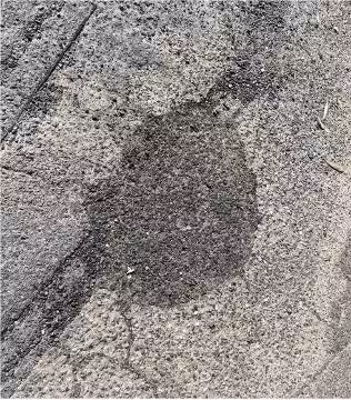 画像11