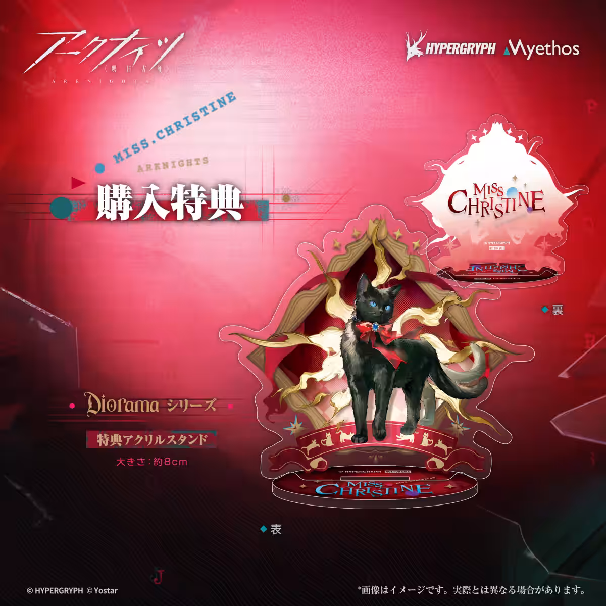 画像8