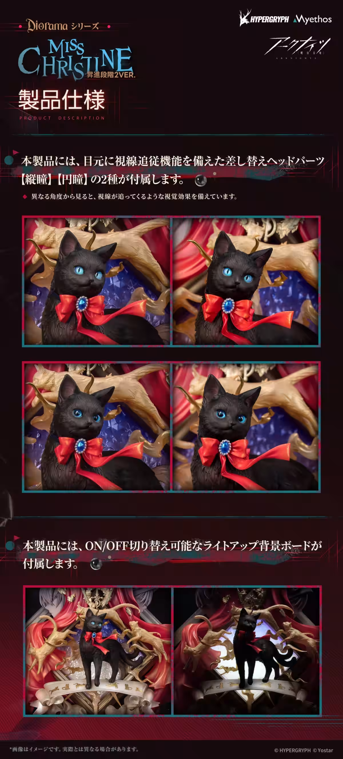 画像7