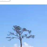 被災地観光の未来