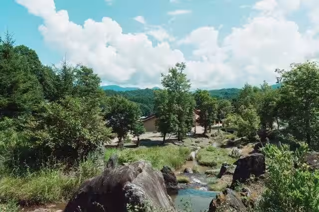 画像7