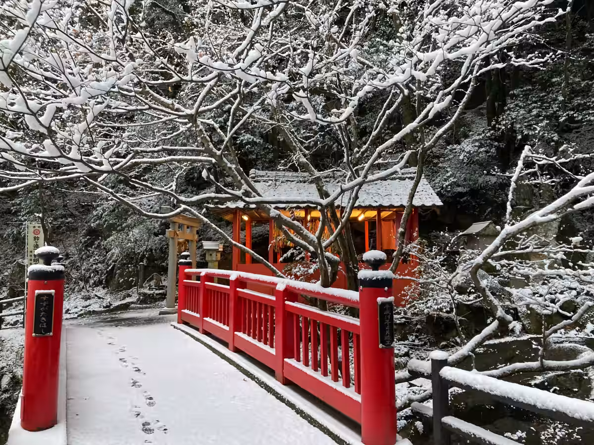 画像5