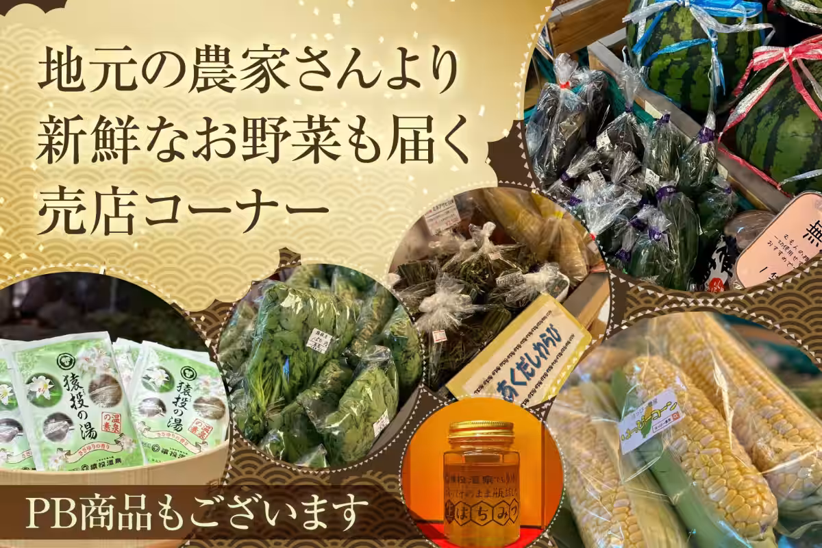 画像15