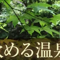 猿投温泉夏祭り