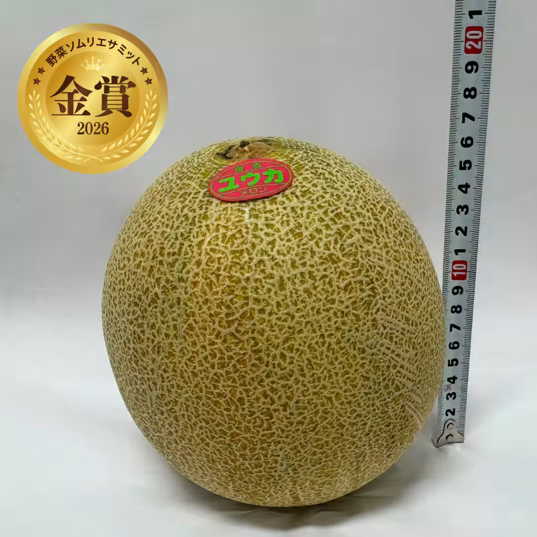 画像16