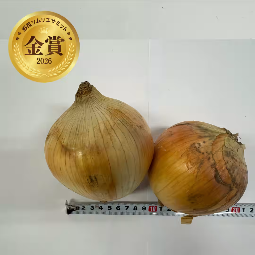 画像8