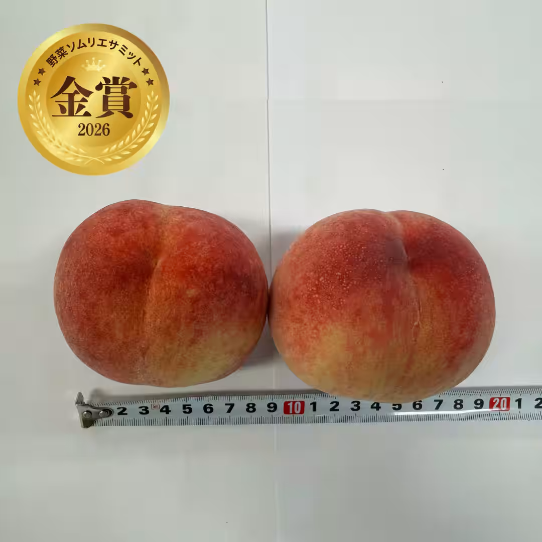 画像9