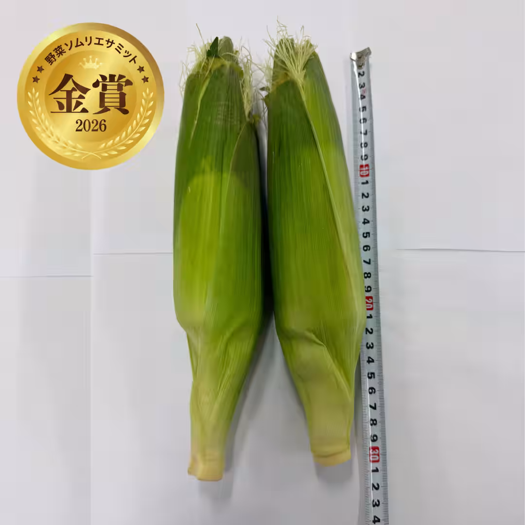画像14
