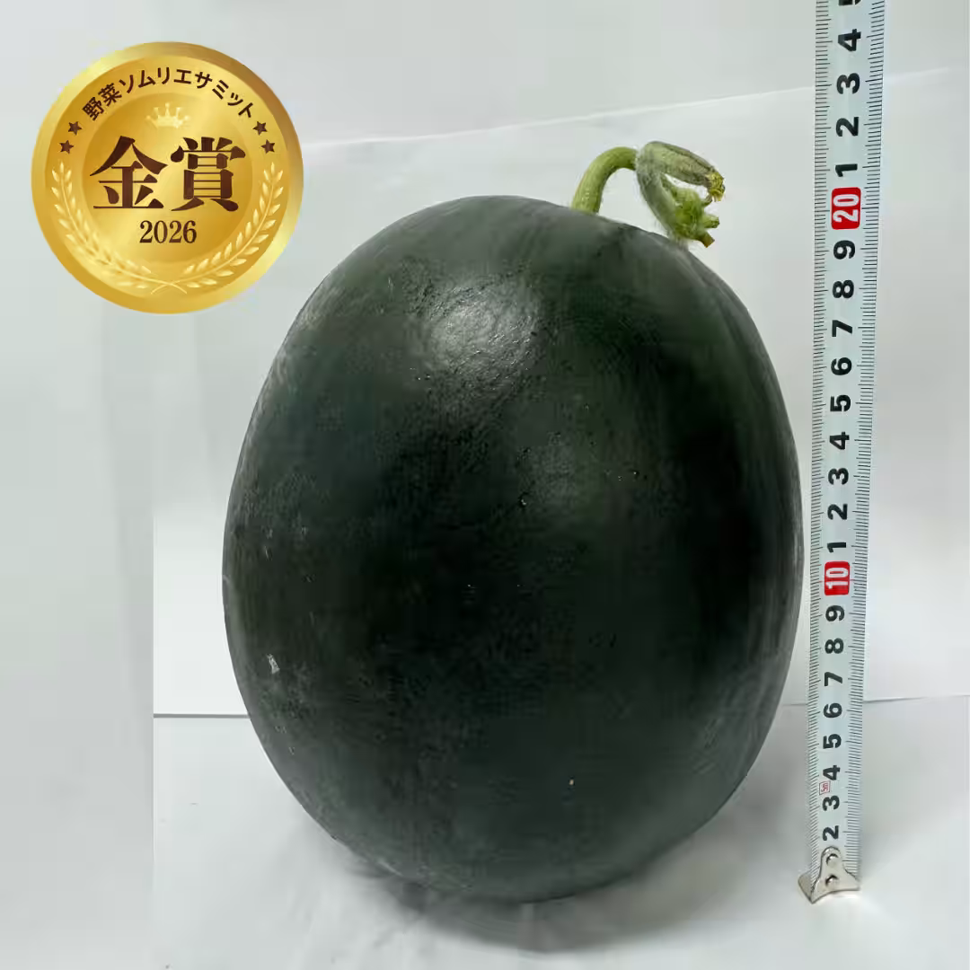 画像15