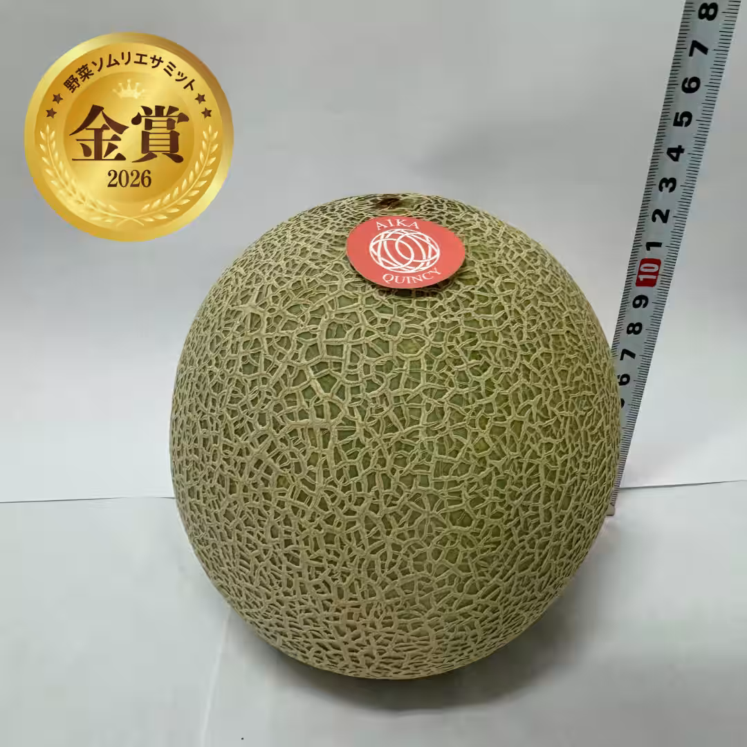 画像12
