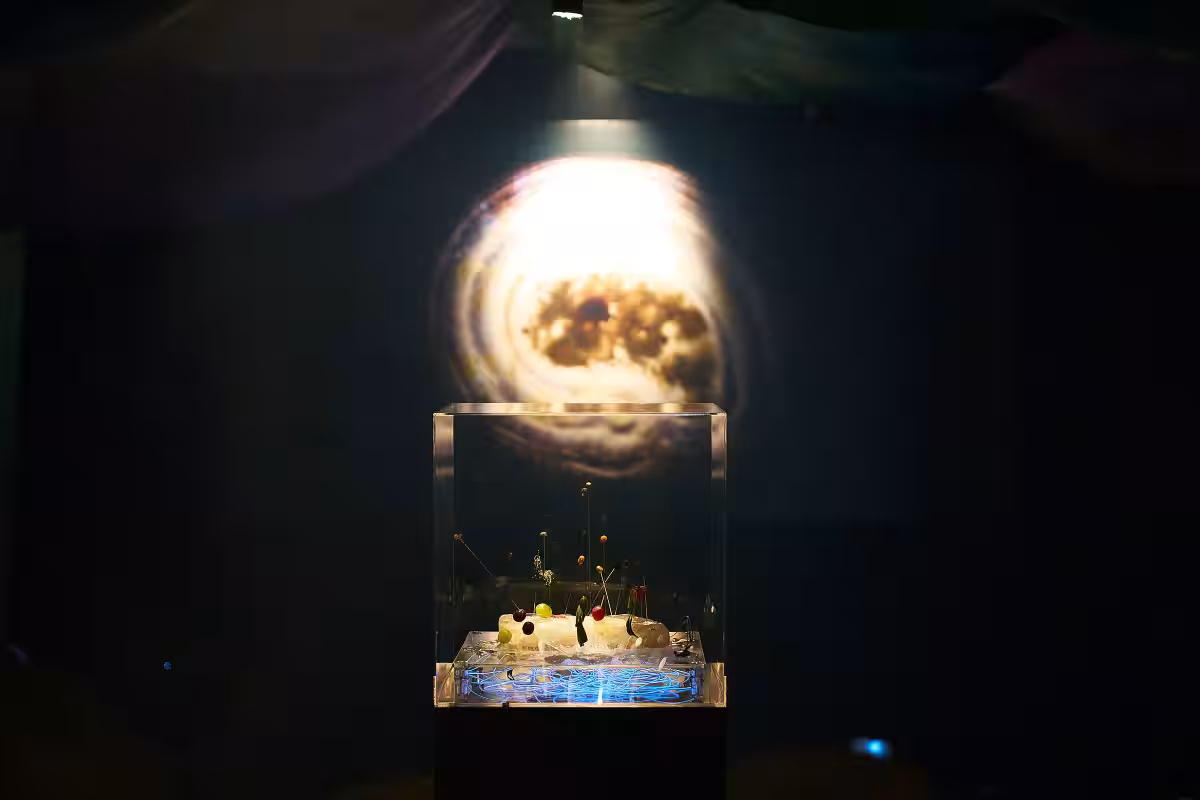 画像21