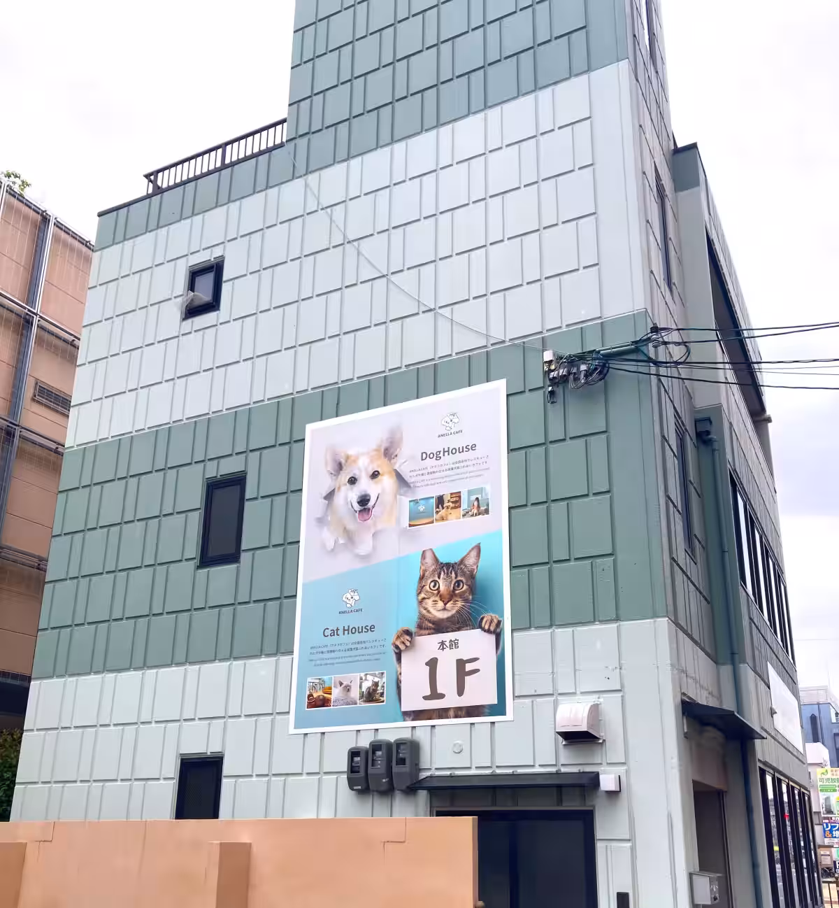 画像9